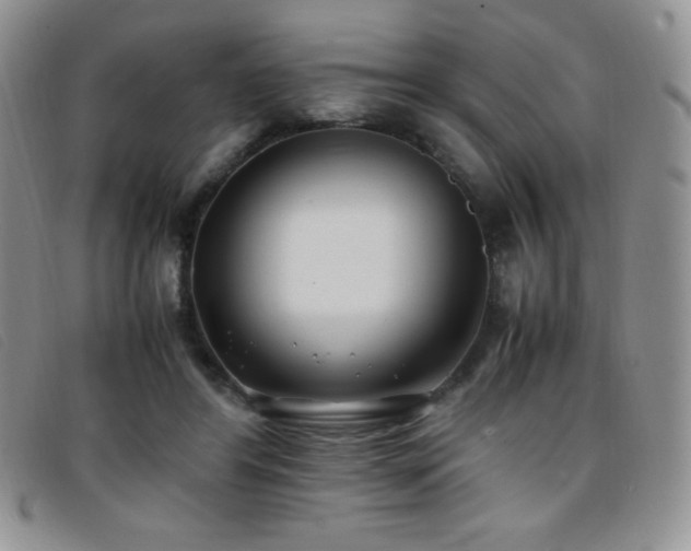 X0000096670404200802051227