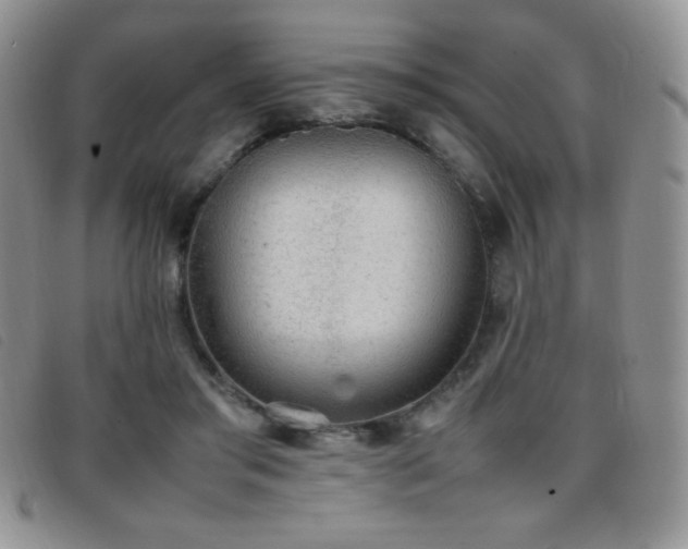 X0000096670405200802051227