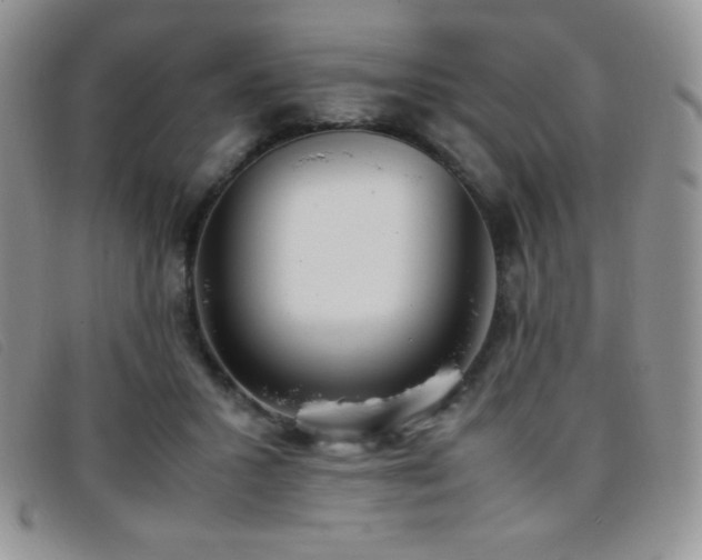 X0000096670407200802051227