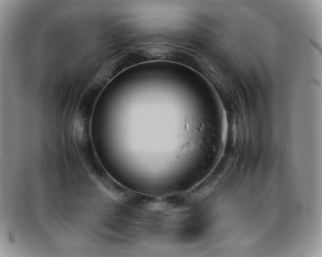 X0000096670408200802051227