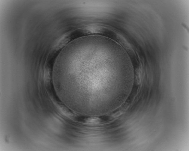 X0000096670410200802051227
