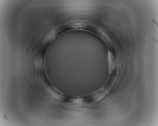 X0000096670411200802051227