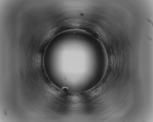 X0000096670412200802051227