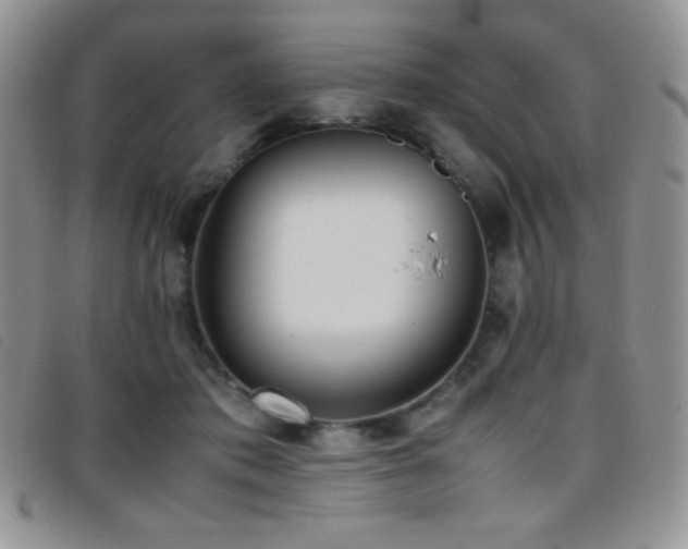 X0000096670413200802051227