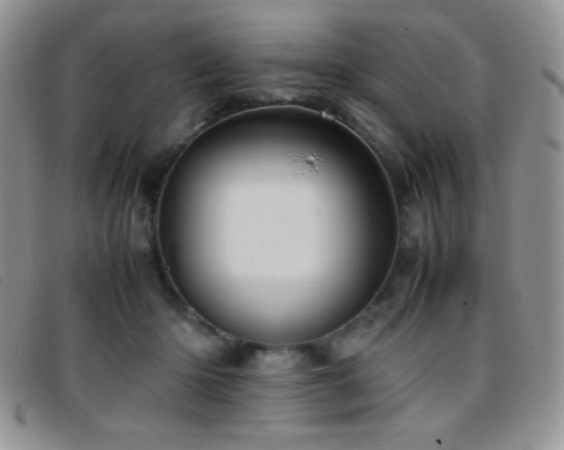 X0000096670414200802051227