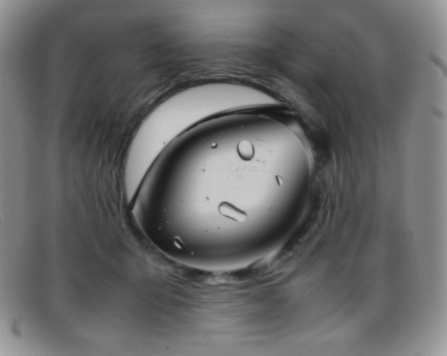 X0000096670415200802051227