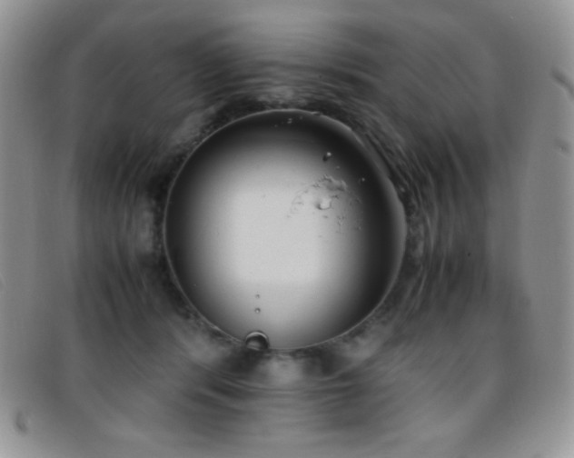 X0000096670416200802051227