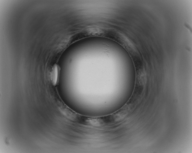 X0000096670417200802051227