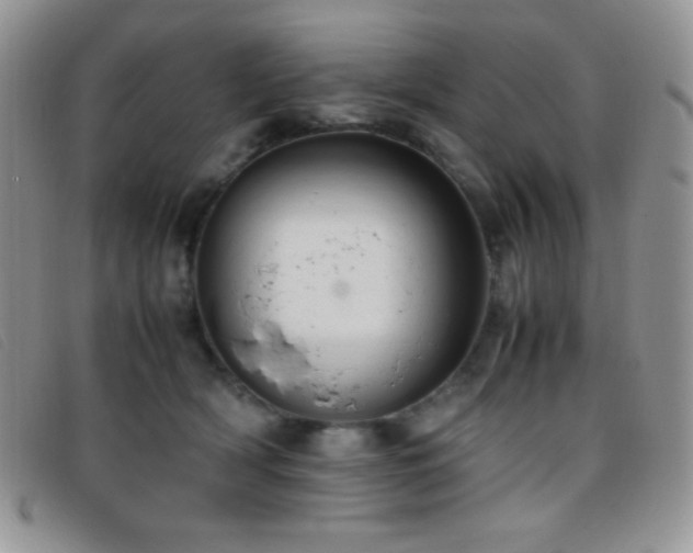 X0000096670418200802051227