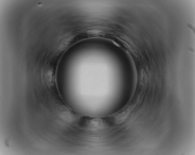 X0000096670420200802051227