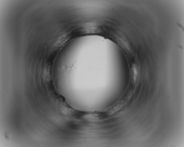 X0000096670422200802051227