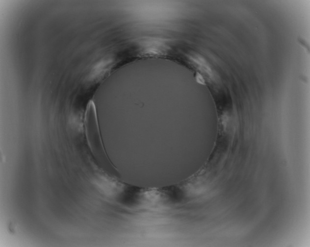 X0000096670423200802051227