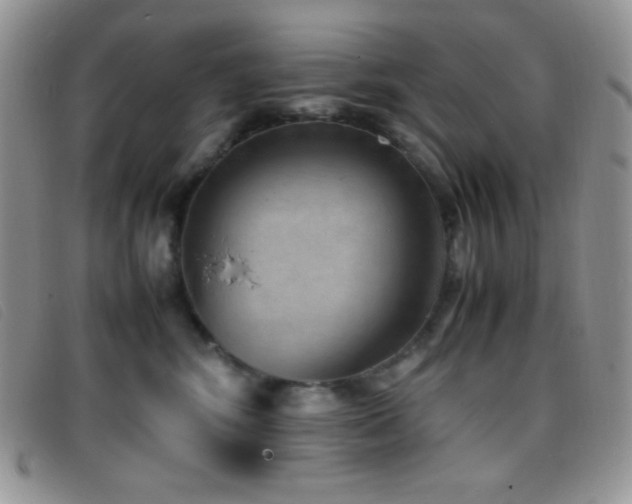X0000096670424200802051227