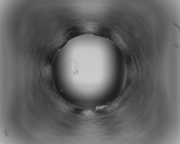 X0000096670425200802051227