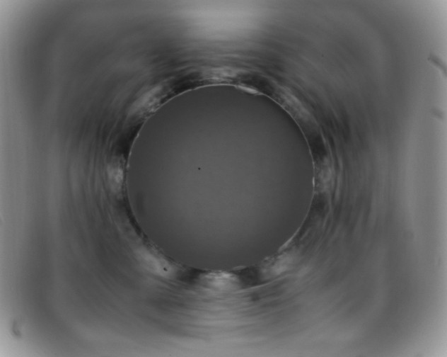X0000096670427200802051227