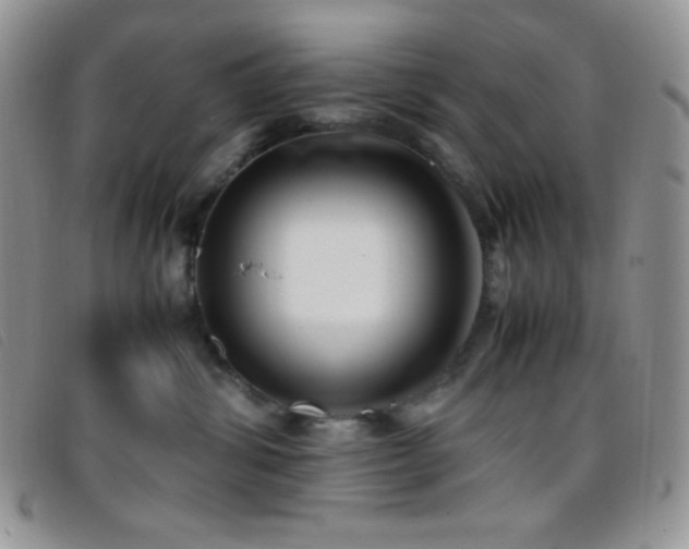 X0000096670428200802051227
