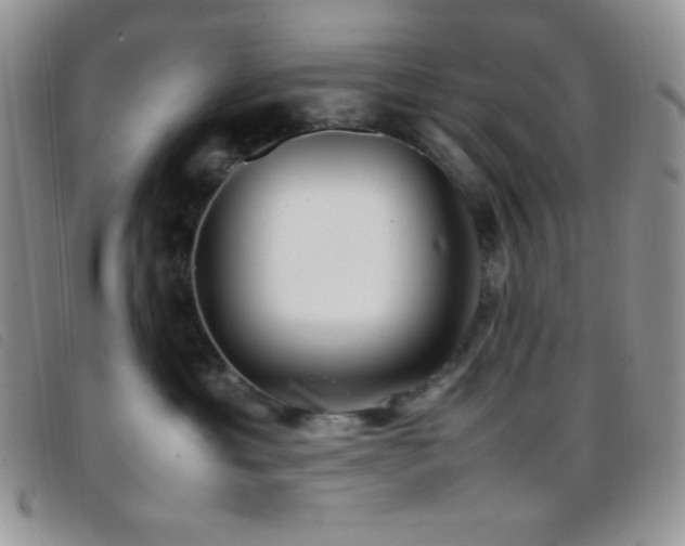 X0000096670429200802051227