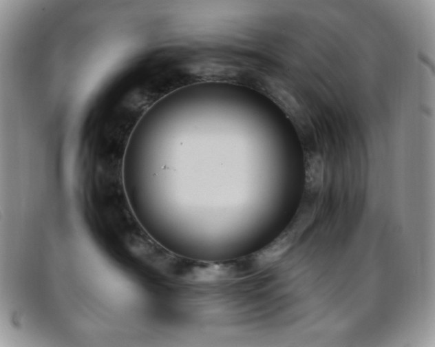X0000096670430200802051227