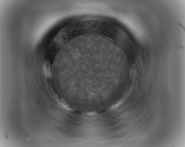 X0000096670431200802051227