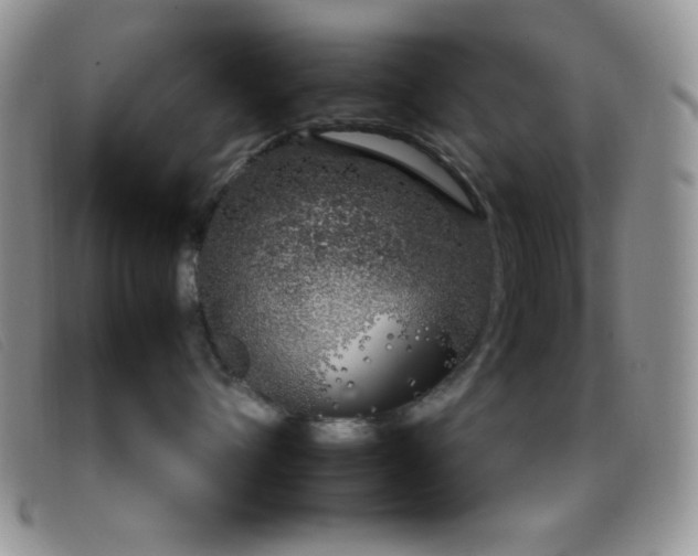 X0000096670432200802051227