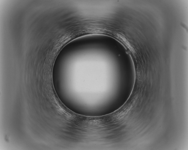 X0000096670433200802051226