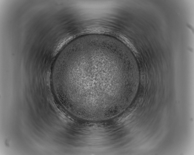 X0000096670434200802051226