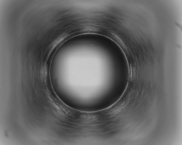 X0000096670435200802051226