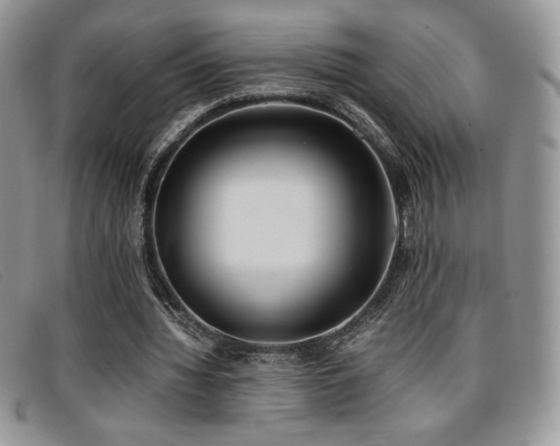 X0000096670436200802051226