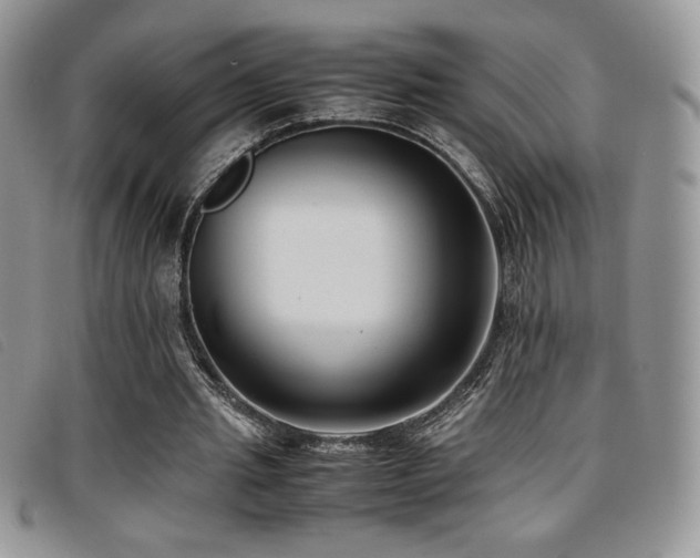 X0000096670437200802051226
