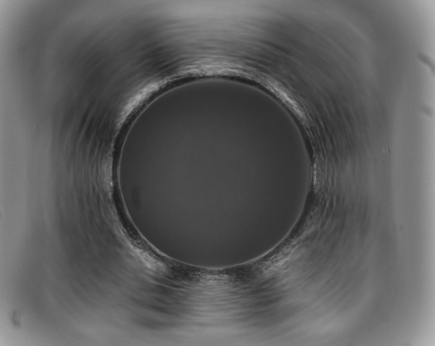 X0000096670438200802051226