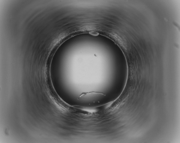 X0000096670439200802051226