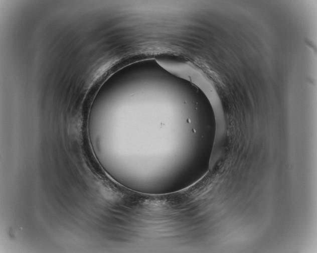 X0000096670440200802051226
