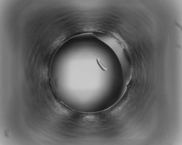 X0000096670441200802051226