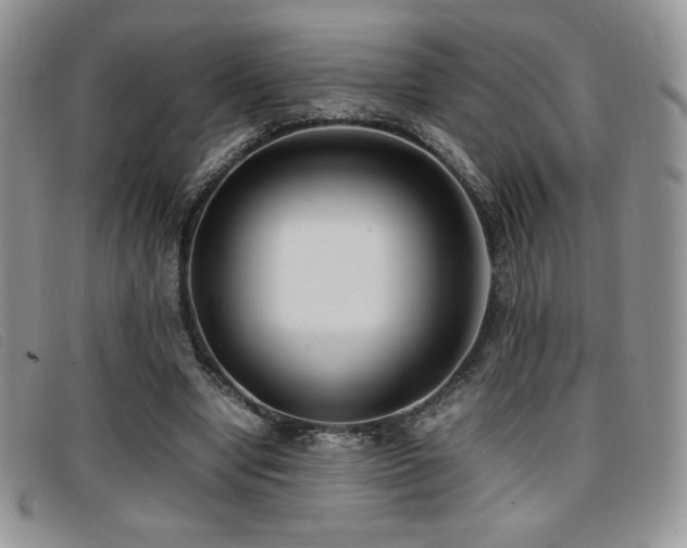 X0000096670442200802051226