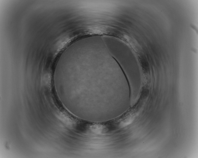 X0000096670444200802051226