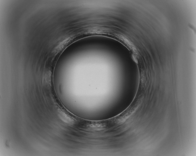 X0000096670445200802051226