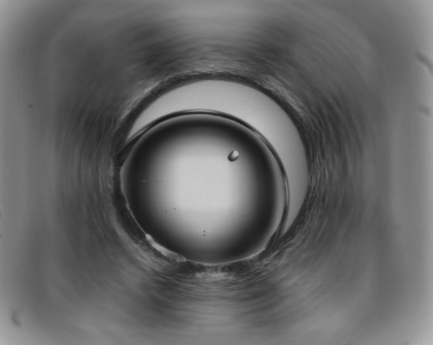 X0000096670448200802051226