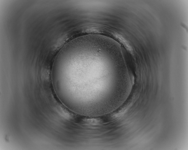 X0000096670449200802051226