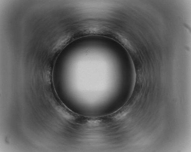 X0000096670450200802051226