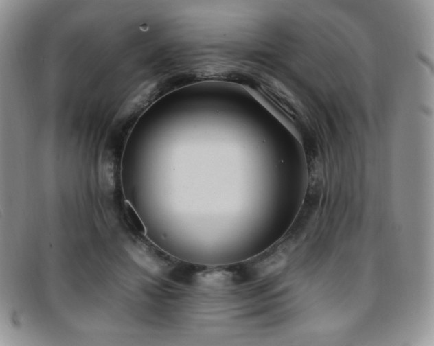 X0000096670452200802051227