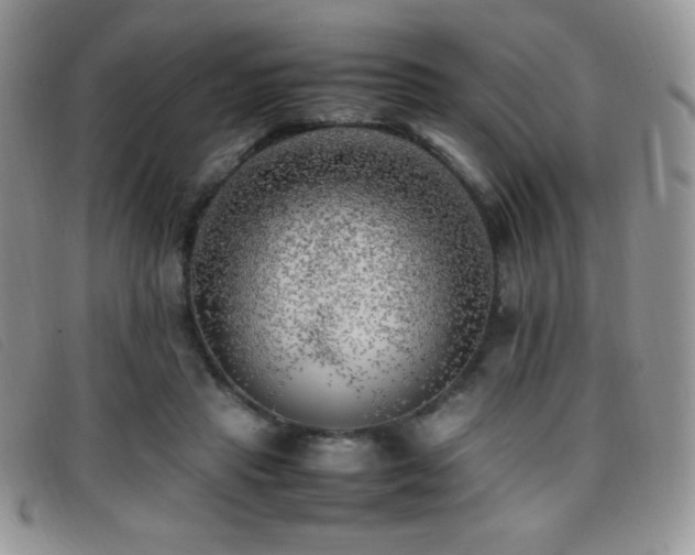 X0000096670453200802051227