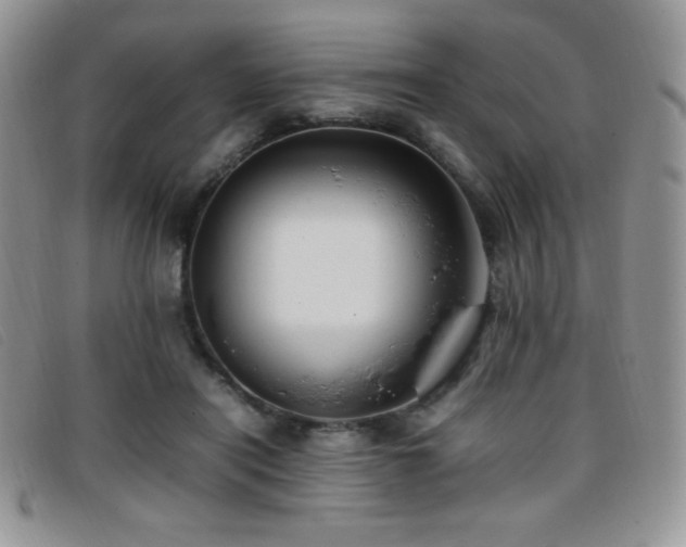 X0000096670454200802051227