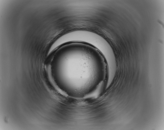 X0000096670456200802051227