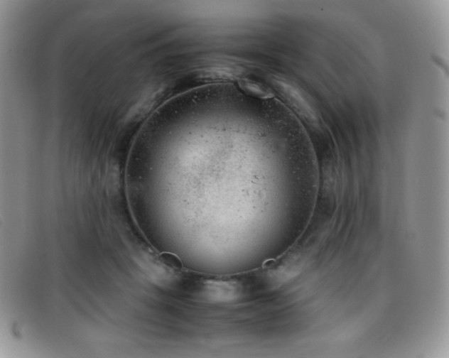 X0000096670457200802051227
