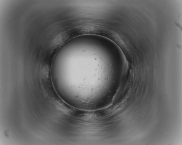 X0000096670458200802051227