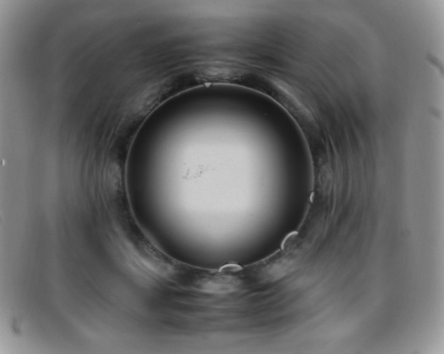 X0000096670459200802051227