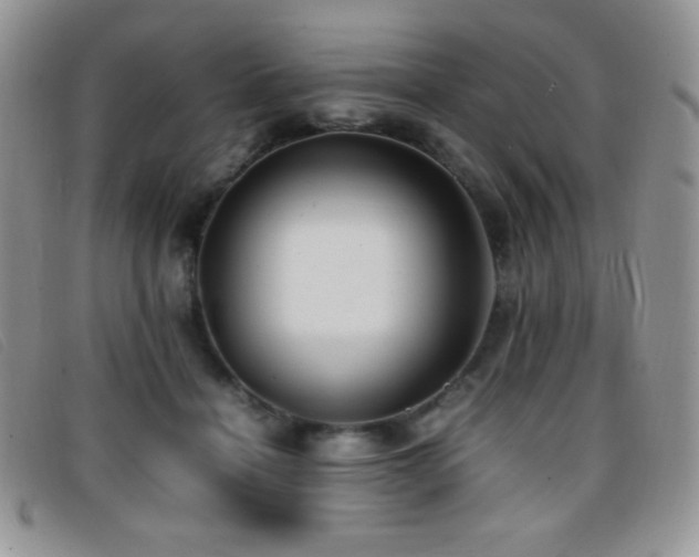 X0000096670460200802051227
