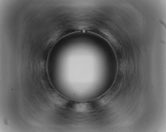 X0000096670461200802051227