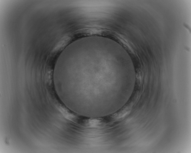 X0000096670462200802051227