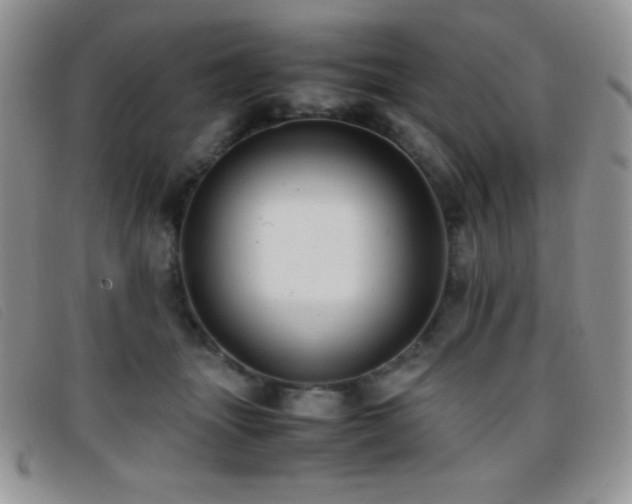 X0000096670463200802051227